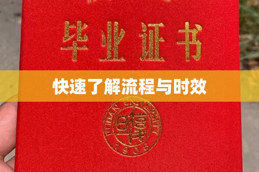 丹东快速了解流程与时效