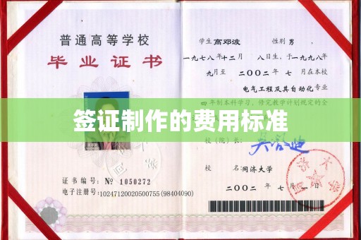 丹东签证制作的费用标准