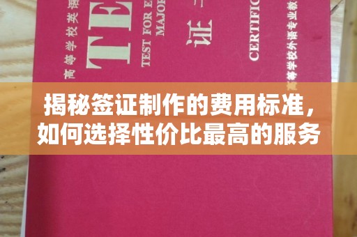 丹东揭秘签证制作的费用标准，如何选择性价比最高的服务？